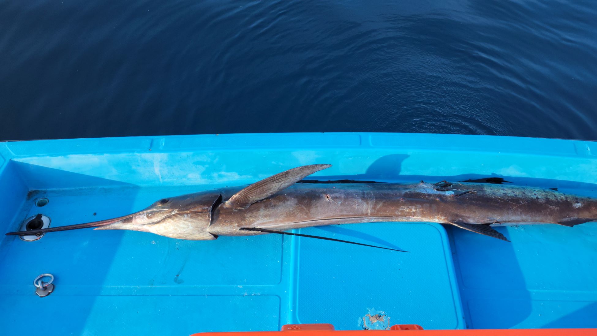 first catch big game