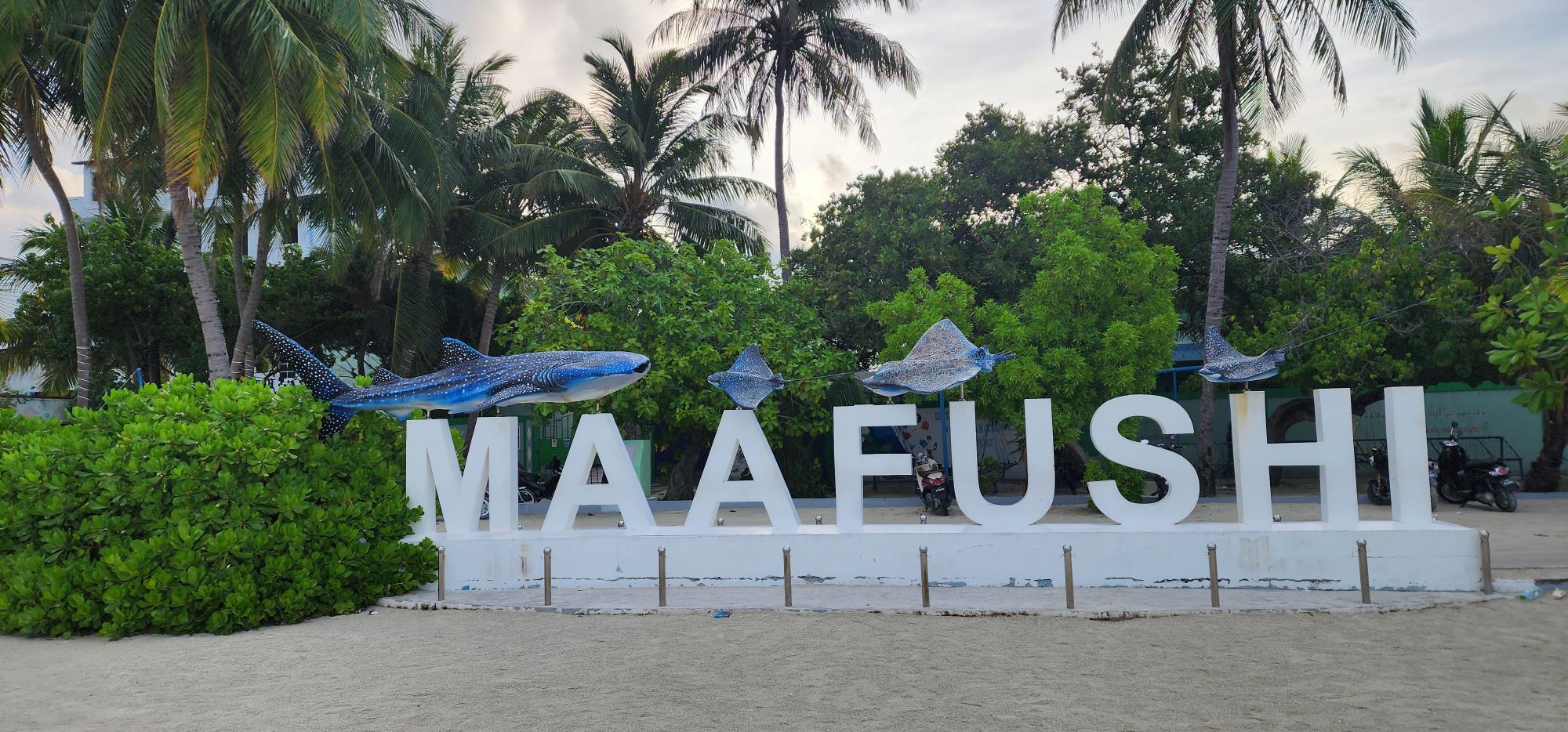 Maafushi arrival port